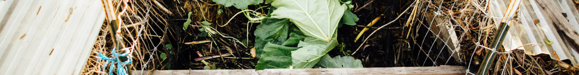 Culturally Sustaining Engagement in the School Garden