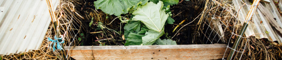 Culturally Sustaining Engagement in the School Garden