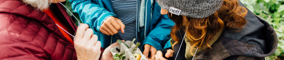 Evaluating School Gardens – Part 1 of Sharing the Impact of School Gardens