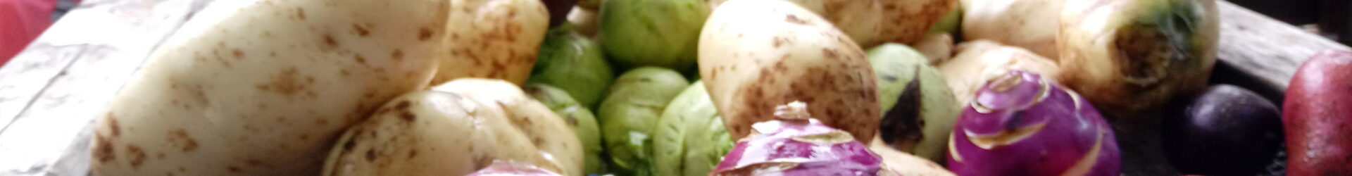 School Gardens as Food Security