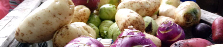School Gardens as Food Security